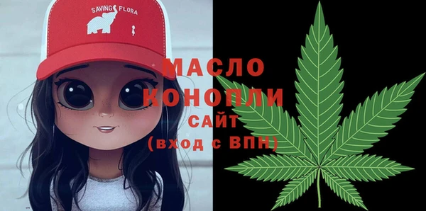 твердый Протвино